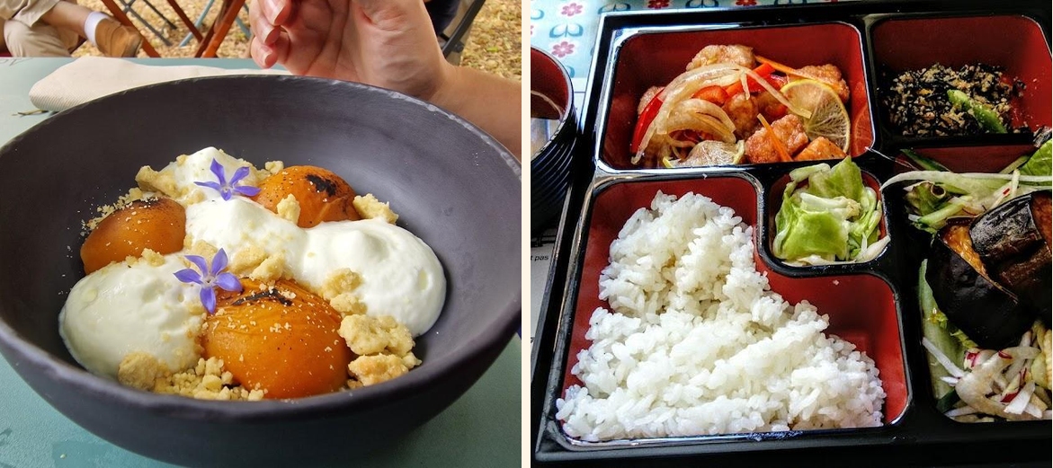 Yamaneko - Gallery Image 5